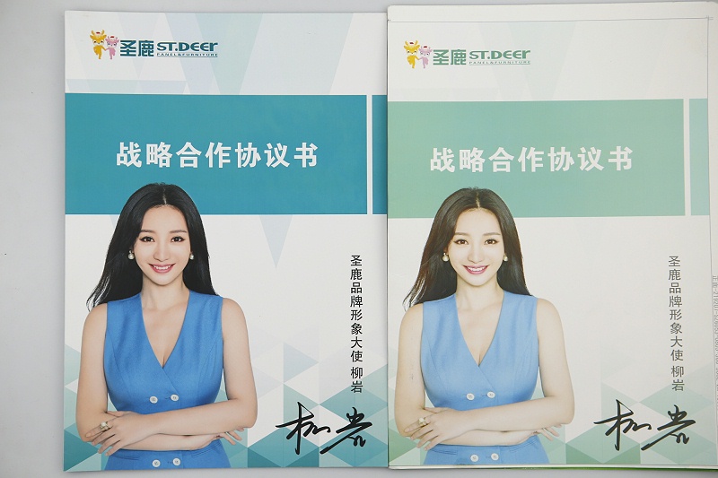 產(chǎn)品畫冊(cè)